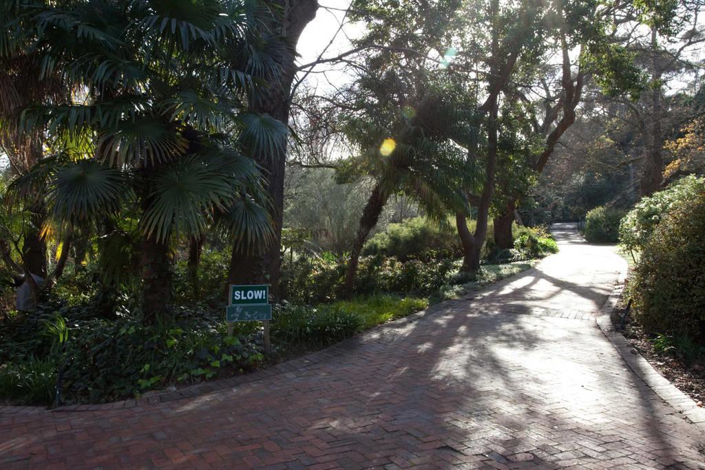 Viettz Suite Stellenbosch Exteriör bild