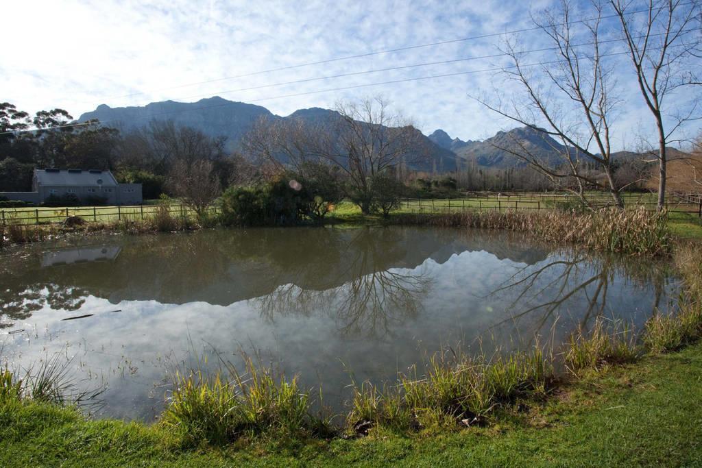Viettz Suite Stellenbosch Exteriör bild